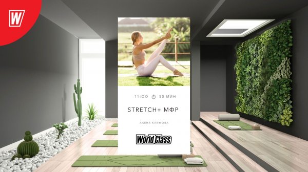 STRETCH + МФР с Аленой Климовой | 6 декабря 2025 | Онлайн-тренировки World Class