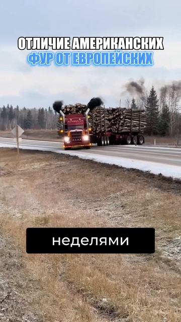 Отечественные камАзы круче!