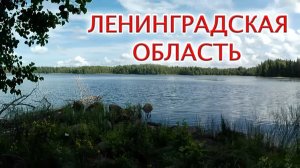 На велосипедах по Ленинградской области