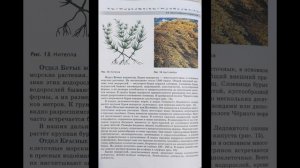 Биология 7 класс В.В. Пасечник. §4. Многообразие водорослей.