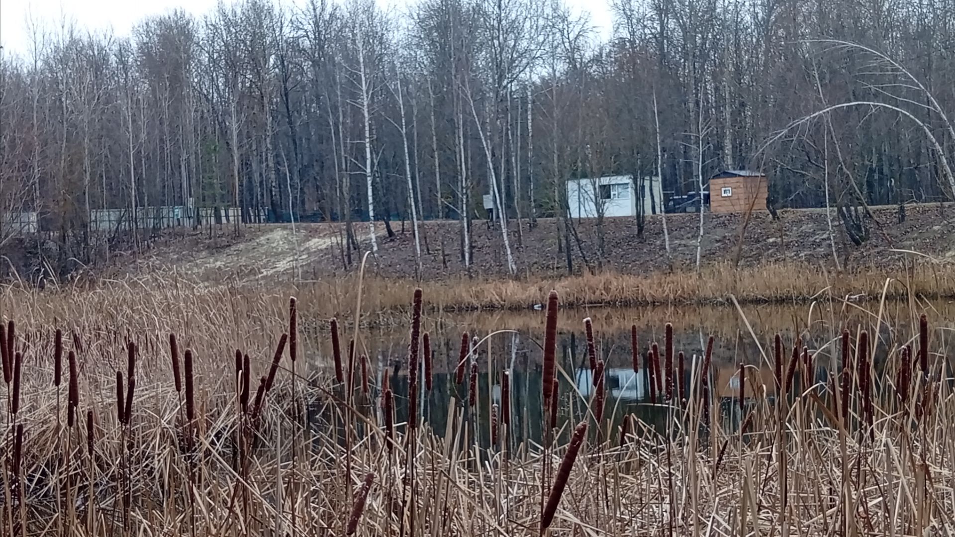 Утренняя велопрогулка на лесное озеро. смотреть онлайн