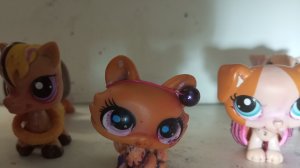 лпс сериал школа волшебства Хогвартс серия 1( начало )