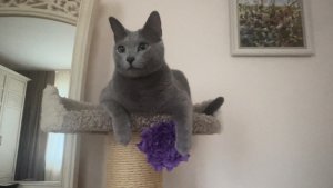 Обновленный конкурсный ролик_FABIAN COTOS HOUSE_ выставочный номер 13