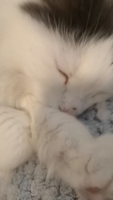 Пока РОБЛОКС😔