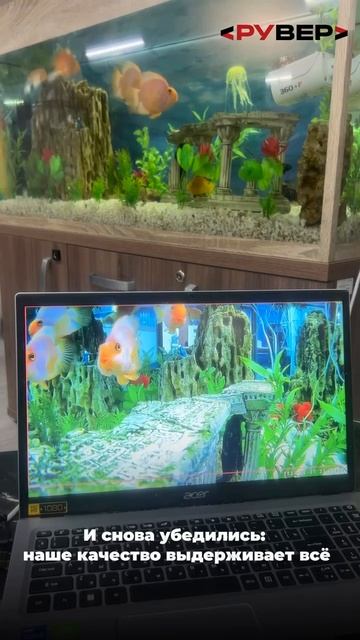 Тест на прочность камеры «Рувер»