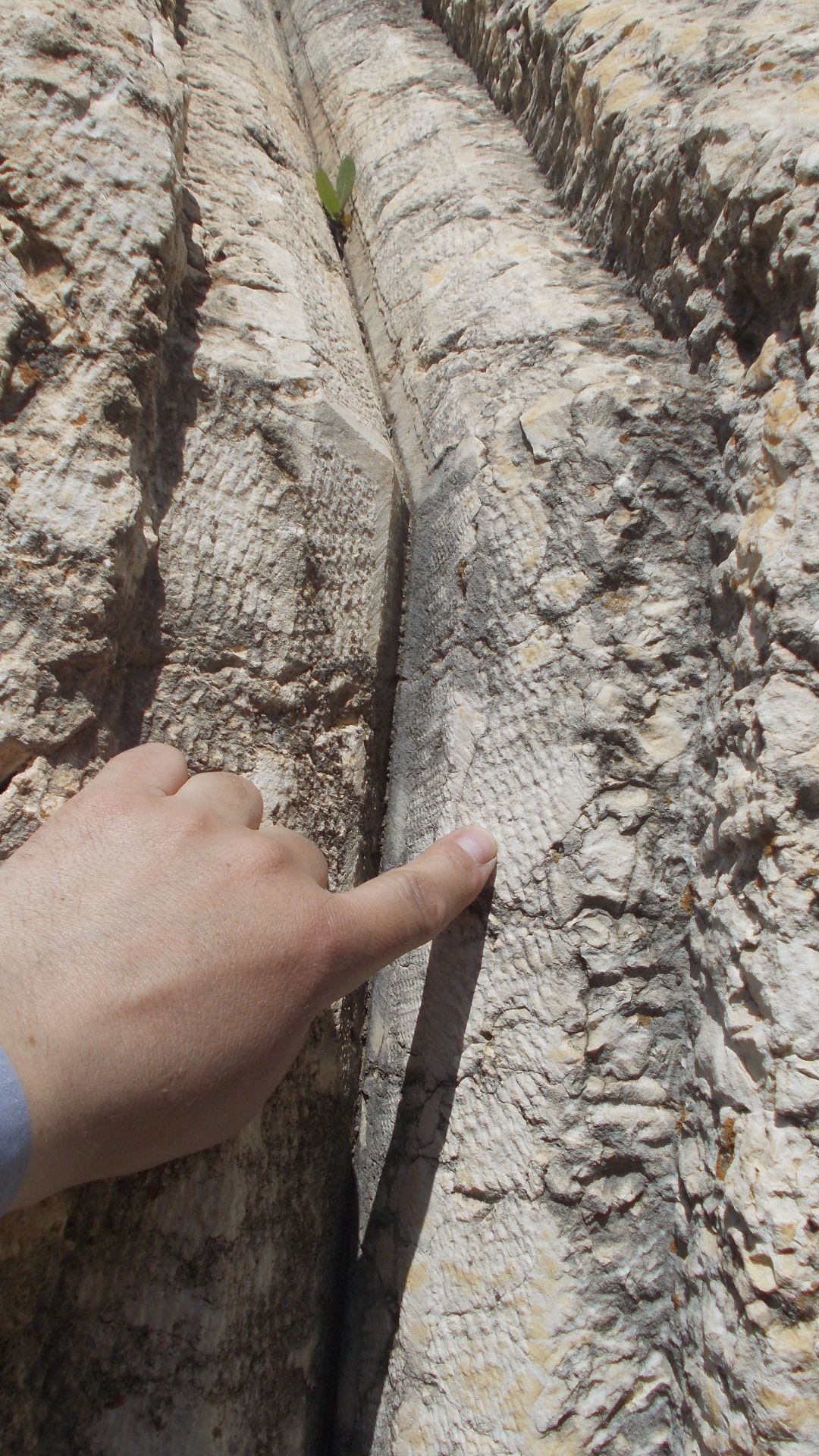 На 400-тонном мегалите в Баальбеке обнаружена шокирующая деталь смотреть онлайн