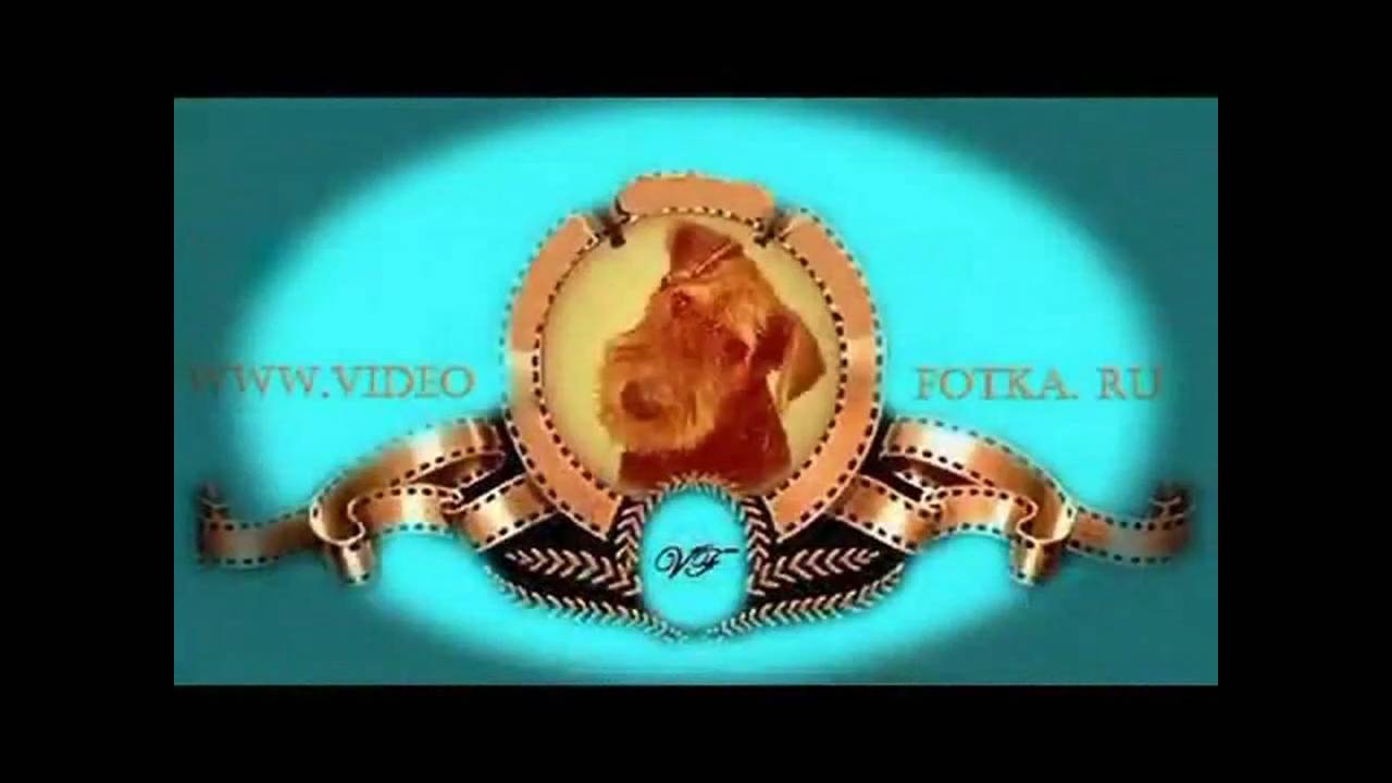 Лабышка..wmv