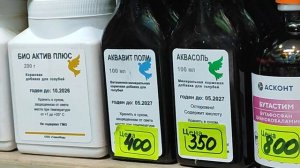 4.12.2025 г Магазин для Голубей, Голубиный Рай,Садовод ч.1