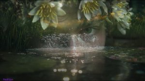 Речка и родник