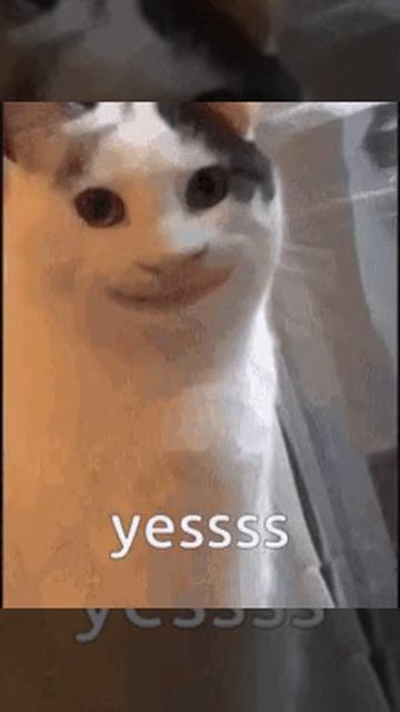 yessss смотреть онлайн