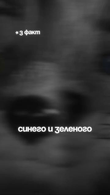 5 интересных фактов о Бесподобном Мистер Фоксе смотреть онлайн