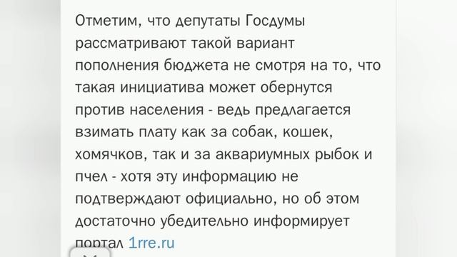 Скоро новый налог на рыбок?😱
