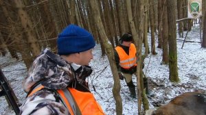 Загонная охота на лося 4.12.2025