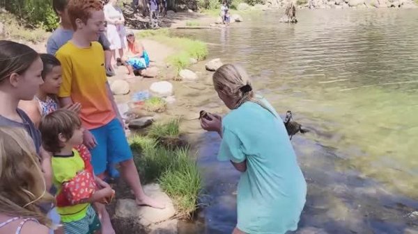 FailArmy. It’s Not How It Looks! Fails of the Week _ FailArmy