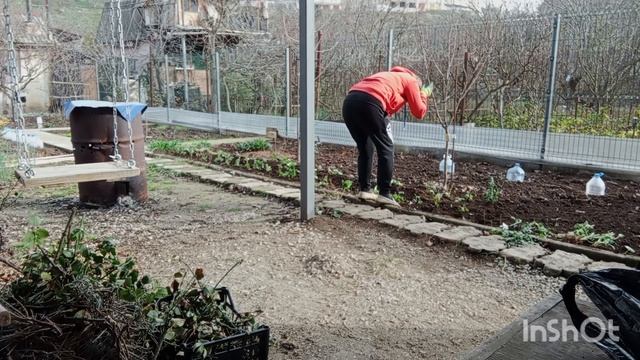 ✅ХРИЗАНТЕМЫ. ВТОРОЙ ДЕНЬ ВЫСАДКИ ЧЕРЕНКОВ.05.12.25 смотреть онлайн