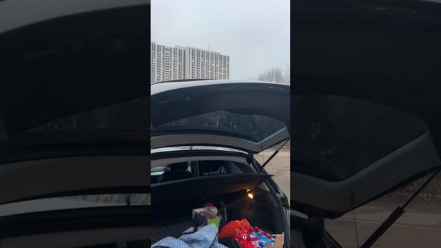 IMG_9298 смотреть онлайн