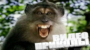 ЛУЧШИЕ ПРИКОЛЫ 2025 | ПРИКОЛЫ 2025 | СВЕЖИЕ ПРИКОЛЫ 2025 | РЖУ НЕ МОГУ |