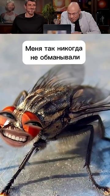 #юмор #приколы #реакция смотреть онлайн