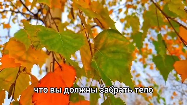 Увидев, что жена пошевелила пальцами, муж обомлел... смотреть онлайн
