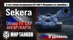 Sekera обзор ПТ САУ Чехии | оборудование SD-122/49 Sekera бронирование | перки Секера
