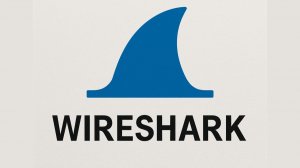 Просмотр сетевого трафика с помощью программы Wireshark.