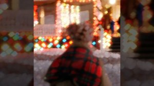 ОДИН ДОМА | СКОРО НОВЫЙ ГОД | ЭДИТ 19 | КЕВИН МАККАЛЛИСТЕР