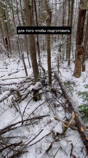 Подробней тут: смотреть онлайн