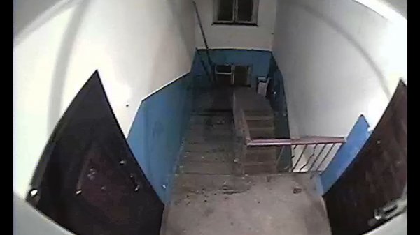 Неведомое нечто в подъезде