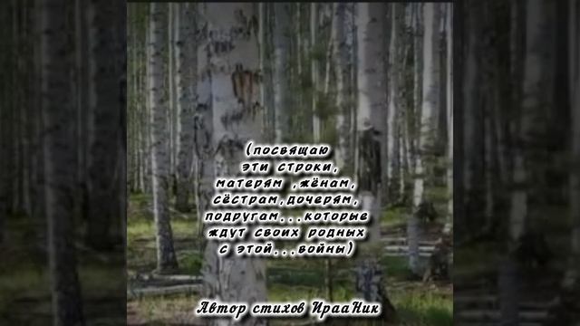 ШУМ БЕРЁЗЫ ...