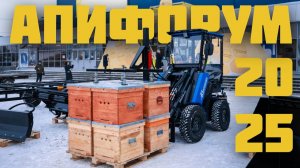 Выставка для пчеловодов "Апифорум 2025". Как это было?