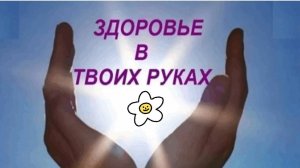 Упражнения  для кистей рук и грудного отдела