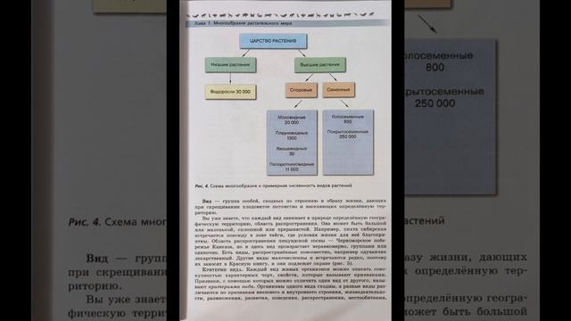Биология 7 класс. В.В. Пасечник. §2. Систематика растений.