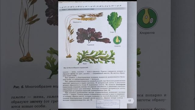Биология 7 класс В.В. Пасечник §3. Общая характеристика водорослей