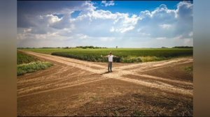 На распутье