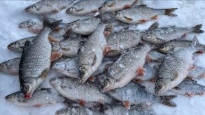 Ловим плотву на горьковском водохранилище.