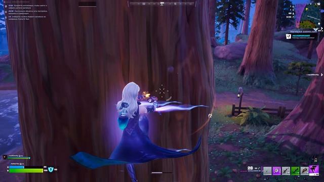 Fortnite 2025.12.02 - 23.59.11.58.Устранение.DVR