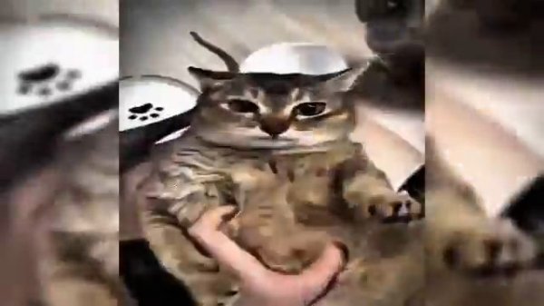 Dj Viber, Trxshbxy, Zarzour feat. - Montagem Volte