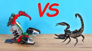 Дикий Скричер против живого Скорпиона! Обзор новинок 5 сезона!