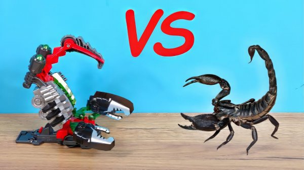 Дикий Скричер против живого Скорпиона! Обзор новинок 5 сезона!