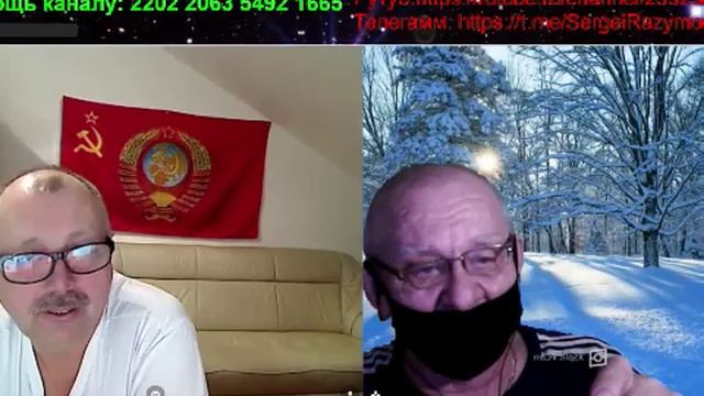 Псы смотреть онлайн