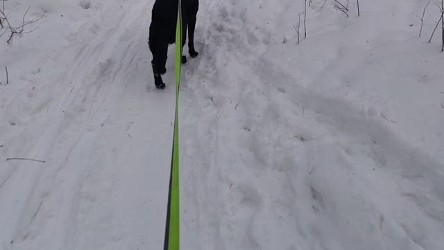 суббота 06.12.25