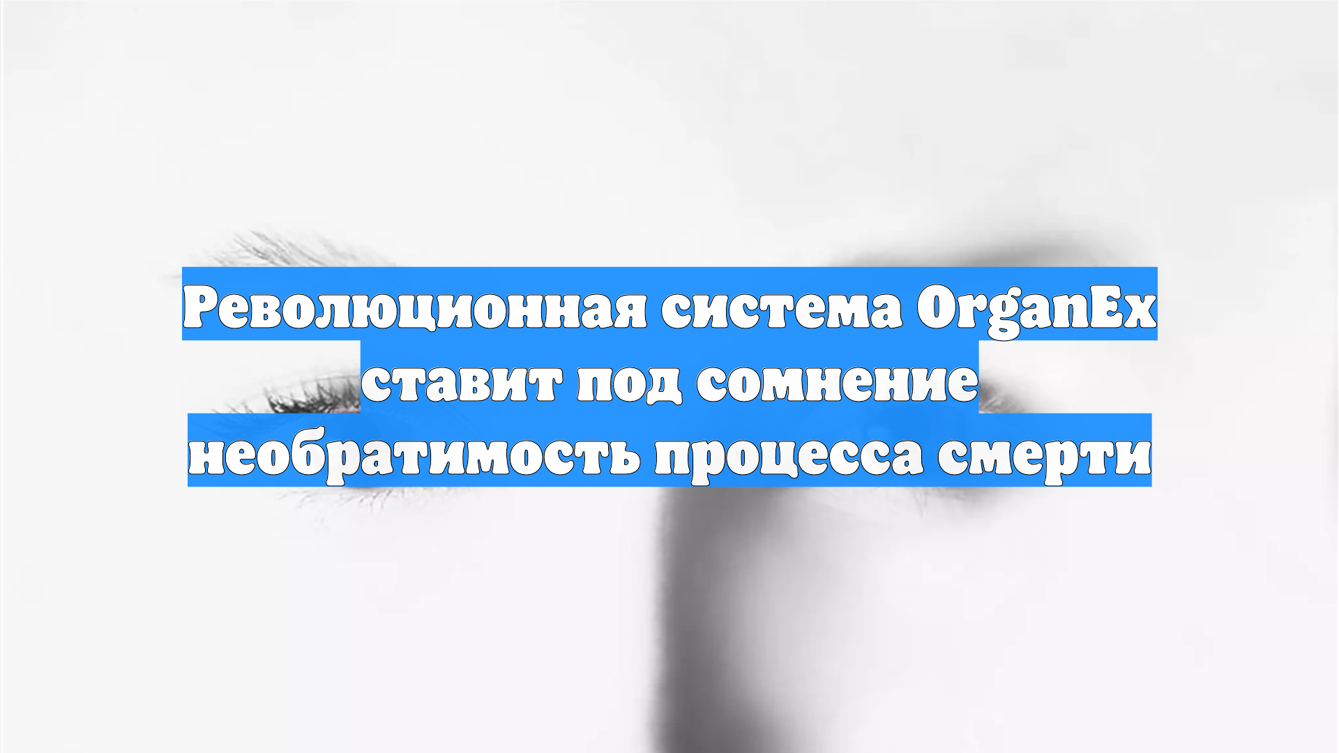 Революционная система OrganEx ставит под сомнение необратимость процесса смерти