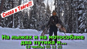 На лыжах и на мотособаке два путика и... (2 часть) 05 12 25