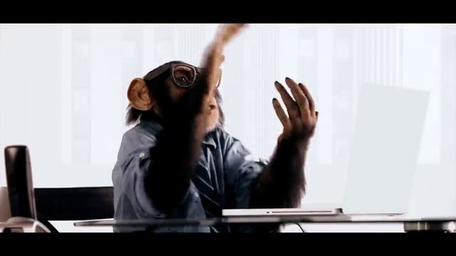 TOMMO feat SEEYA - Please Don't Go смотреть онлайн