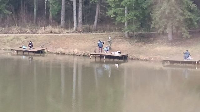 Forest Fishing 06.12.25