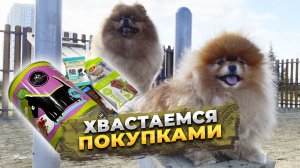 Покупки для собак, гуляем по району в Краснодаре