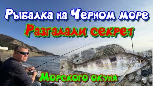 Рыбалка на Черном море в декабре
