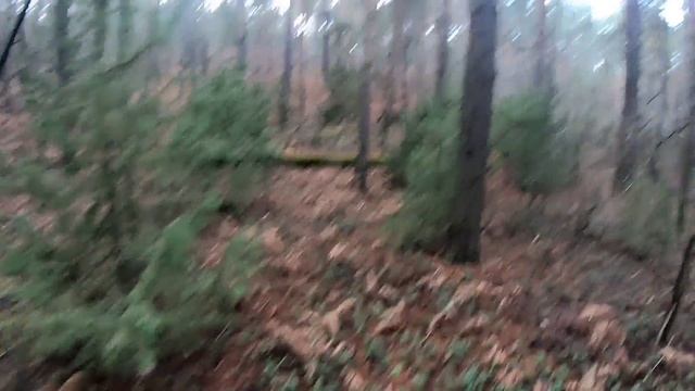 Декабрь - ещё катаемся) смотреть онлайн