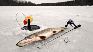 ЗА ЩУКОЙ по ПЕРВОМУ ЛЬДУ / РЫБАЛКА НА ЖЕРЛИЦЫ и ВИБЫ