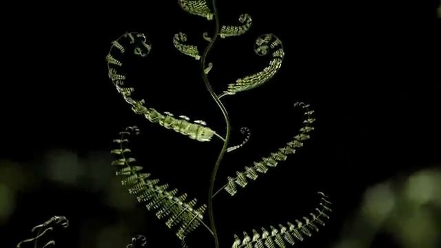 Мощная Всеисцеляющая Матрица Гаряева Мощное Исцеление Всего Организма Регенерация Всего Тела смотреть онлайн